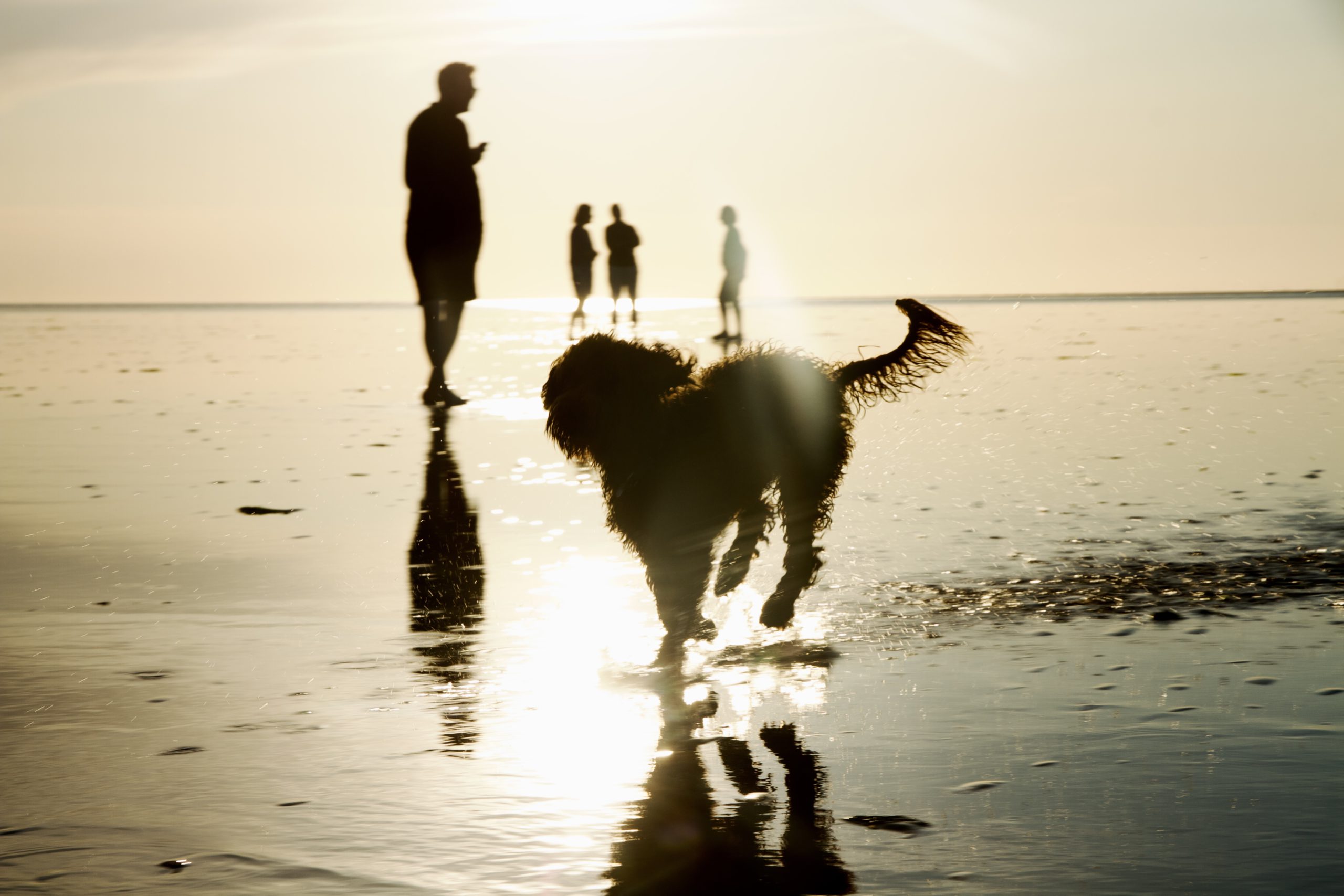 Nagenieten van de waddenweken