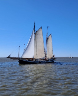 Last minute mee varen?