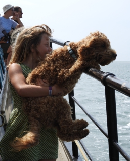De zeilen gaan er weer op – en er zijn nog plekken voor de Pieperrace!